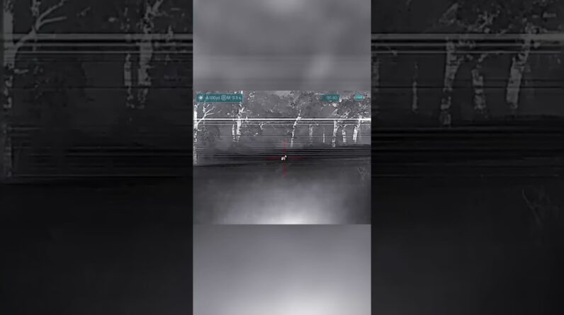 Coyote Hunt: Watch the Intense Thermal Action! #shorts