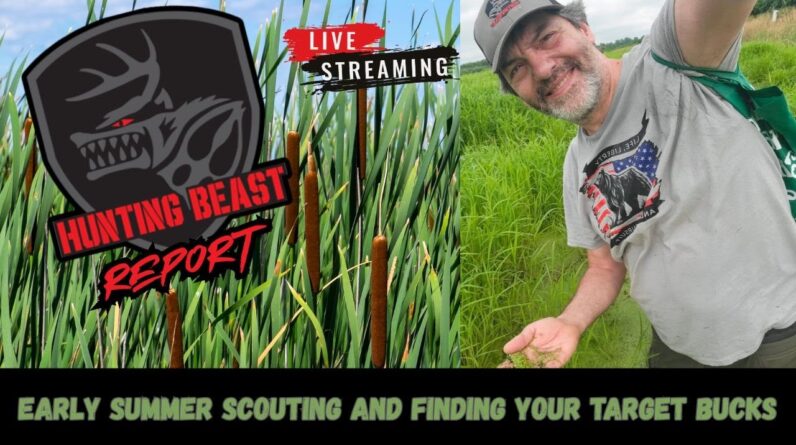 Early Summer Scouting & Finding Your Target Bucks
