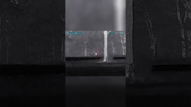 Hog Hunt Showdown: Countdown to Double Tap Success! #shorts