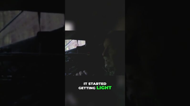 Hunting Blind: Waiting for '9 Lives' Buck to Appear! #shorts