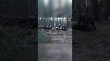 Hunting the Bear: Thrilling Aftermath Unveiled! #shorts