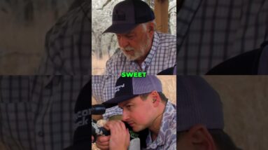 Shooting Range Tech: See Your Shots Instantly with LR3! #shorts
