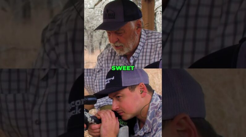 Shooting Range Tech: See Your Shots Instantly with LR3! #shorts