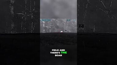 Thermal Vision: Epic Hog Hunt! Watch This Close Call! #shorts
