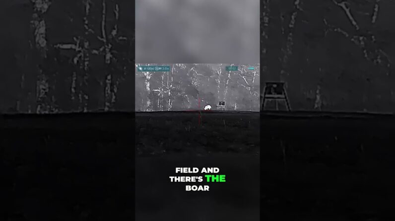 Thermal Vision: Epic Hog Hunt! Watch This Close Call! #shorts