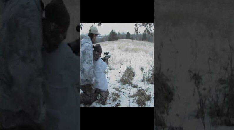 Coyote pack and 8 year old with fast trigger finger