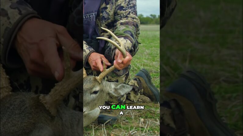 Deer Hoof Secrets: Unlocking Habitat Clues! #shorts