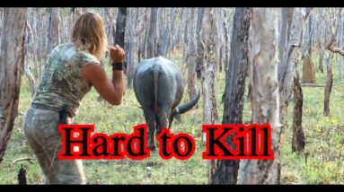 Hard to Kill,  Death Awaits..... Part 1