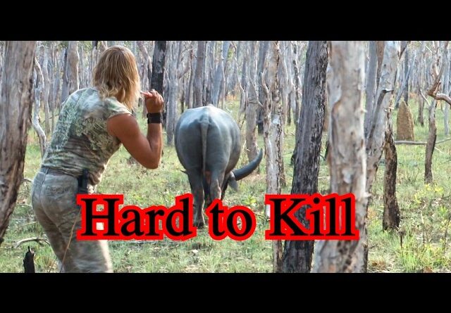 Hard to Kill,  Death Awaits..... Part 1