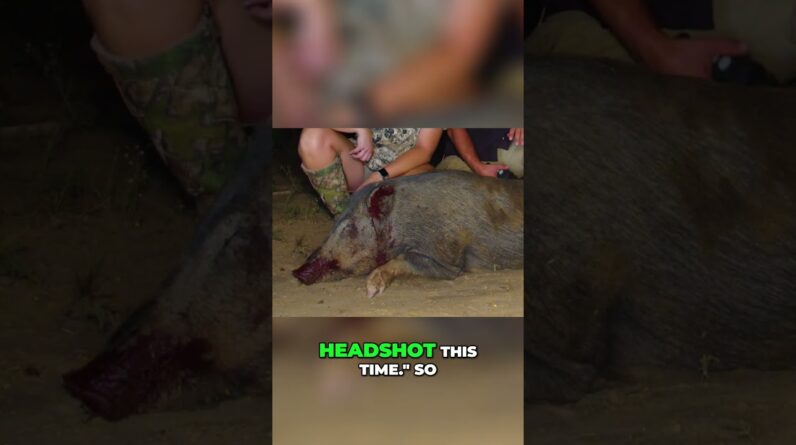 Hog Hunting Headshot: The Perfect Shot and Epic Kill! #shorts