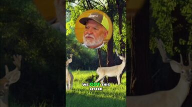 Hunting Greed: The Biggest Deer Myth Exposed #shorts