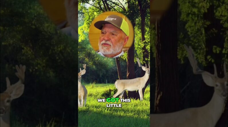 Hunting Greed: The Biggest Deer Myth Exposed #shorts
