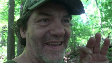 SCOUTING LAST YEARS LEADS
