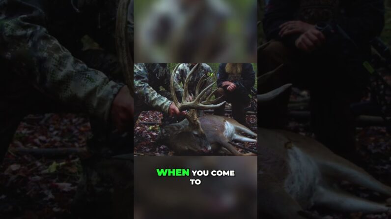 Hunters Find Massive Buck: Michigan's Deer Hunting Paradise Revealed! #shorts