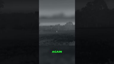 Thermal Hog Hunt: Tactical Mission & Shooting Challenges! #shorts