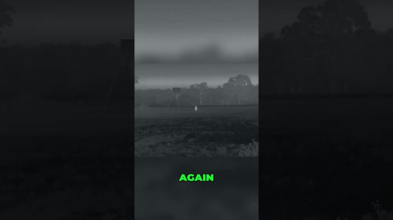 Thermal Hog Hunt: Tactical Mission & Shooting Challenges! #shorts