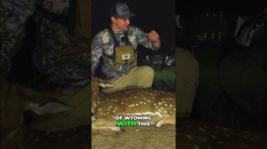 Wyoming Hunt Fails: My Shot Almost Got Away! #shorts
