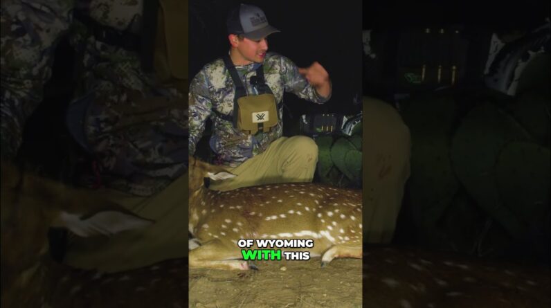 Wyoming Hunt Fails: My Shot Almost Got Away! #shorts