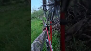 Bare Bones Bowhunting. S Texas Axis