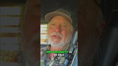 Hunting Deer: Fill Your Freezer with This Landowner's Amazing Opportunity! #shorts