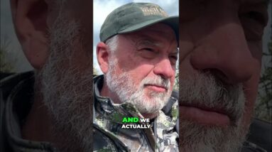 Giant Bear Sighting: Hunters Prepare for Solo Hunt. Watch Now! #shorts