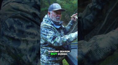 Golden Rope Hunting: Unlock Stealth & Attract Big Bucks! #shorts