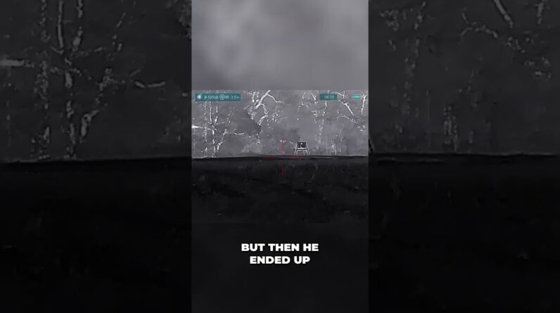 Hog Hunt Gone Wrong: Nighttime Discoveries and Exit Strategies! #shorts