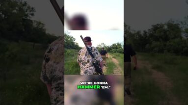 Hog Hunting Chaos: Nighttime Hunt Gone Wild!  #shorts