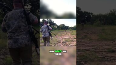 Hog Hunting: Incredible Encounter Caught on Camera! #shorts