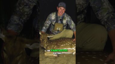 Hunter's Epic Fail: Deer Runs After the Shot! Watch This! #shorts