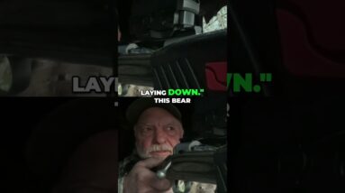 Hunter's Epic Showdown: The Moment He Decided to Shoot the Bear #shorts