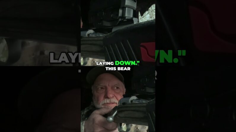 Hunter's Epic Showdown: The Moment He Decided to Shoot the Bear #shorts