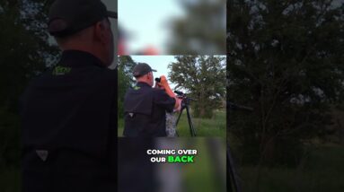 Hog Hunt: Hunters Nail Night Shot After Wind Check. Watch the Kill! #shorts