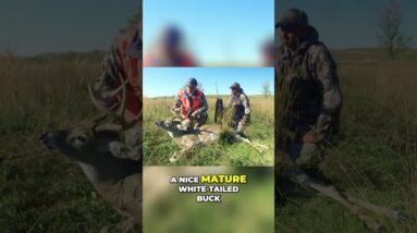 Quick Buck Hunt: Watch Hunters' Lightning-Fast Success! #shorts