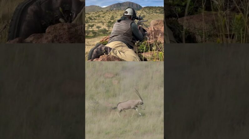 50 BMG VS Gemsbok Antelope in Africa! #hunting #deerhunting