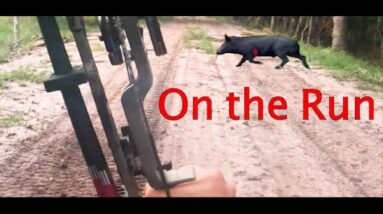 Dead Asleep , Swamp Tromp,  part 1