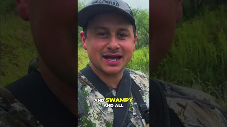First Axis Buck: My Hunt Story! #shorts