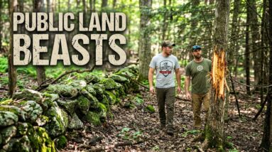 Lucas Benoit & Johnny Stewart   Scouting Massachusetts Mature forest