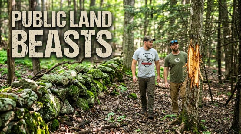 Lucas Benoit & Johnny Stewart   Scouting Massachusetts Mature forest