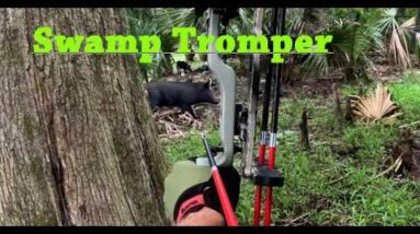 Swamp Tromp, part 2