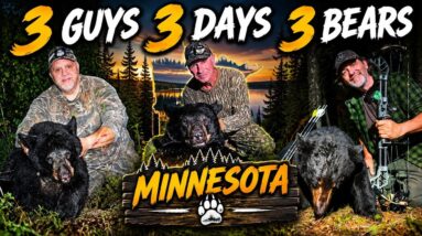 3 Guys 3 Days 3 Bears