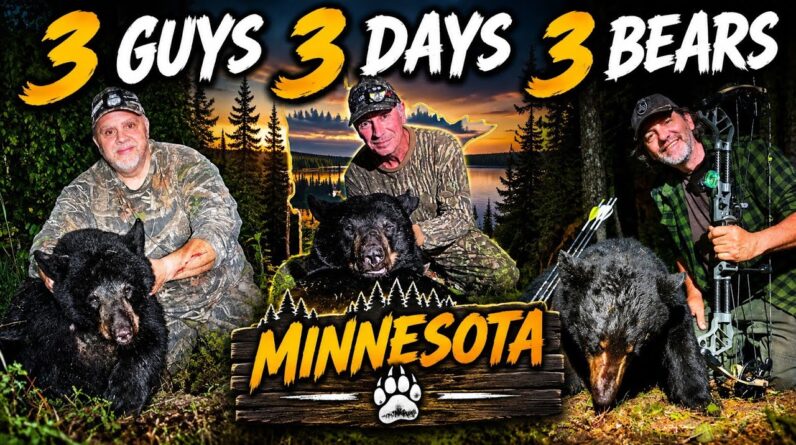 3 Guys 3 Days 3 Bears