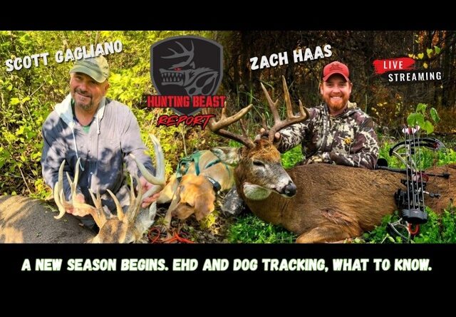 A New Season Begins. Dog Tracking and EHD, what you should know.