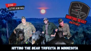 Hitting the Bear Trifecta in Minnesota