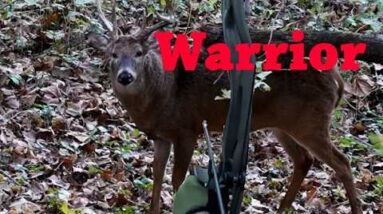 Big Bucks and Plenty of Ducks
