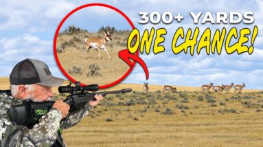 Chasing Pronghorn and Whitetail: Will We Go Home Empty-Handed?