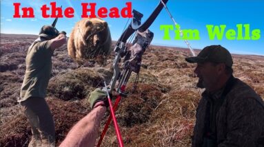 Tim Wells Take Another Grizzly Head Shot