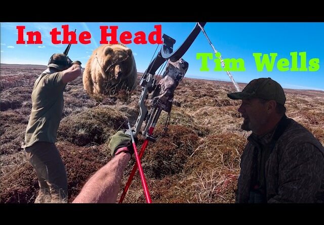 Tim Wells Take Another Grizzly Head Shot